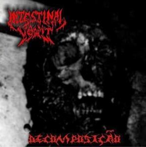 INTESTINAL VOMIT – Decomposição